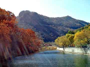 新澳门二四六天天彩，芙蓉二代